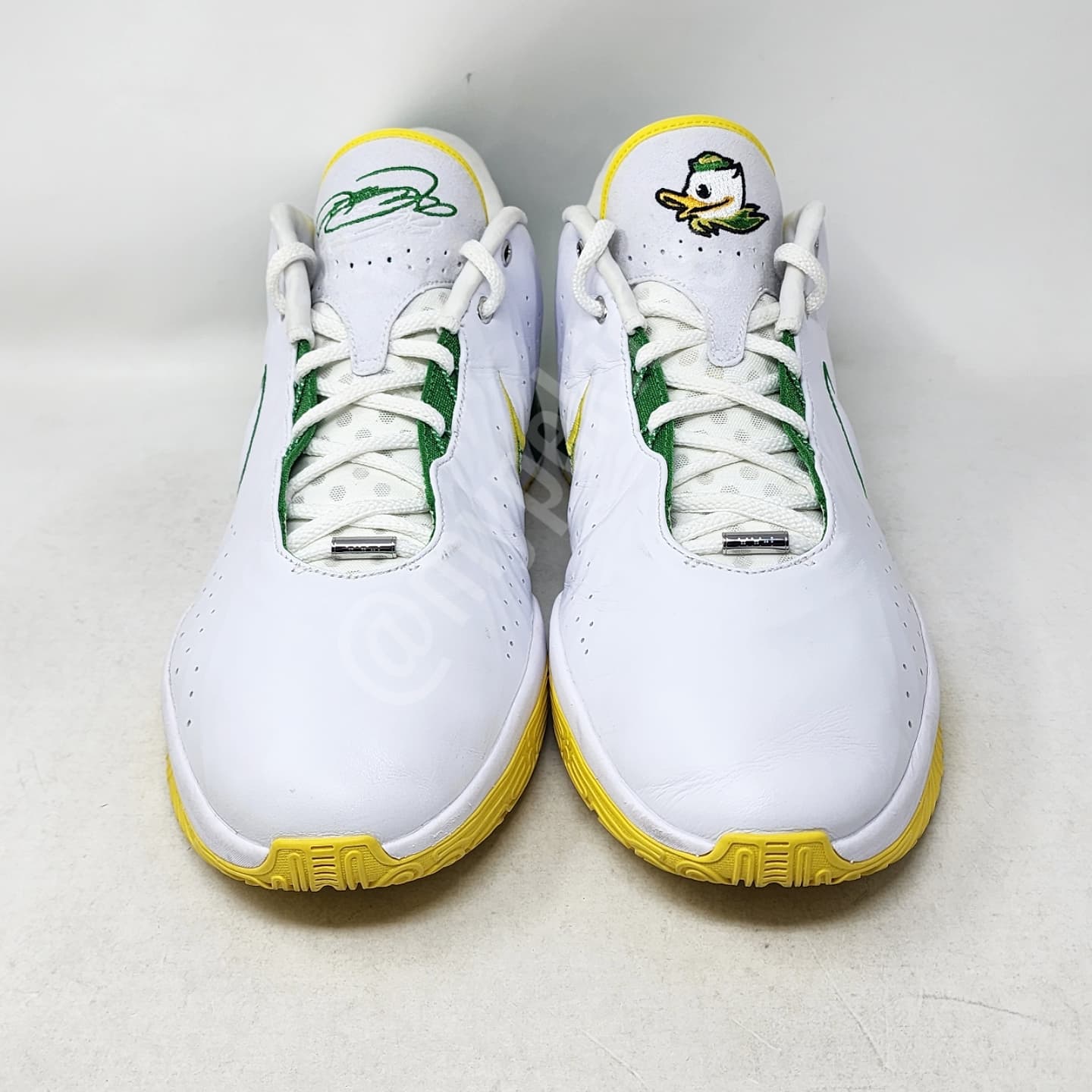 Nike LeBron 21 - Oregon Ducks PE