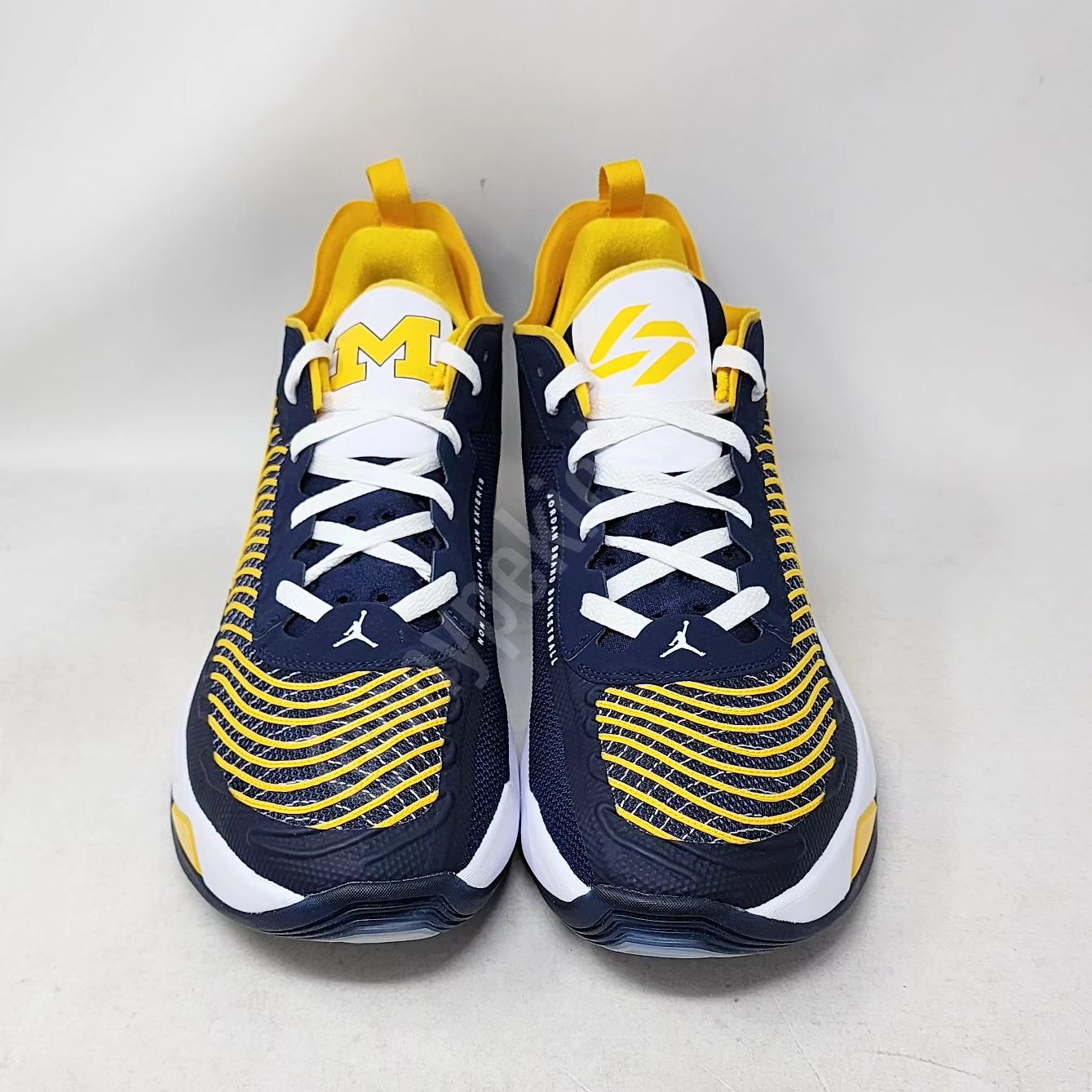 Jordan Luka 1 - Michigan Wolverines PE