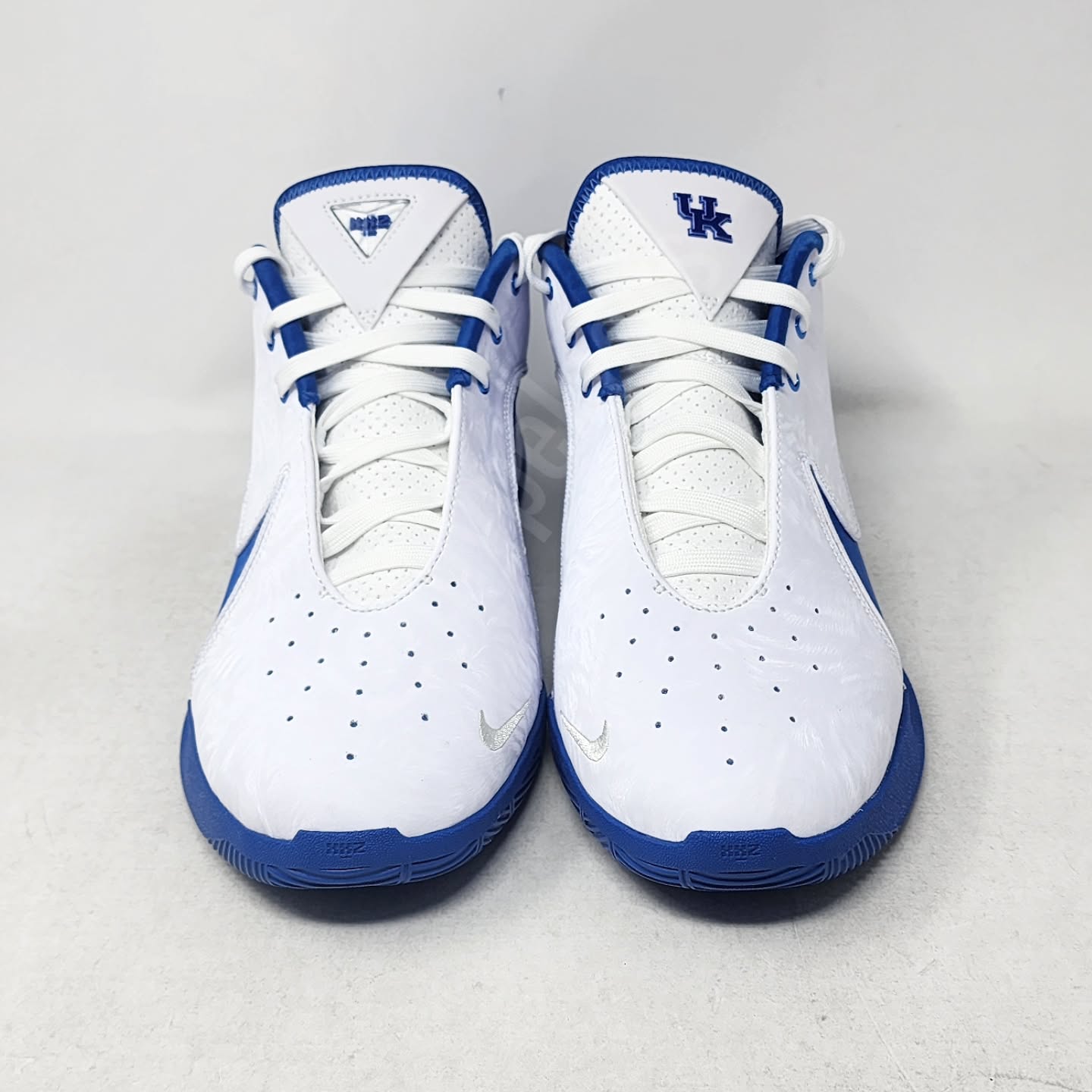Nike LeBron 22 - Kentucky Wildcats PE