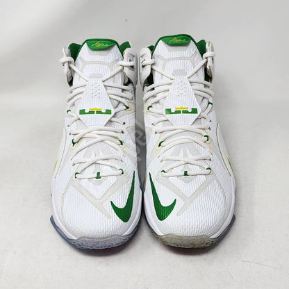 Nike LeBron 12 - Oregon Ducks PE