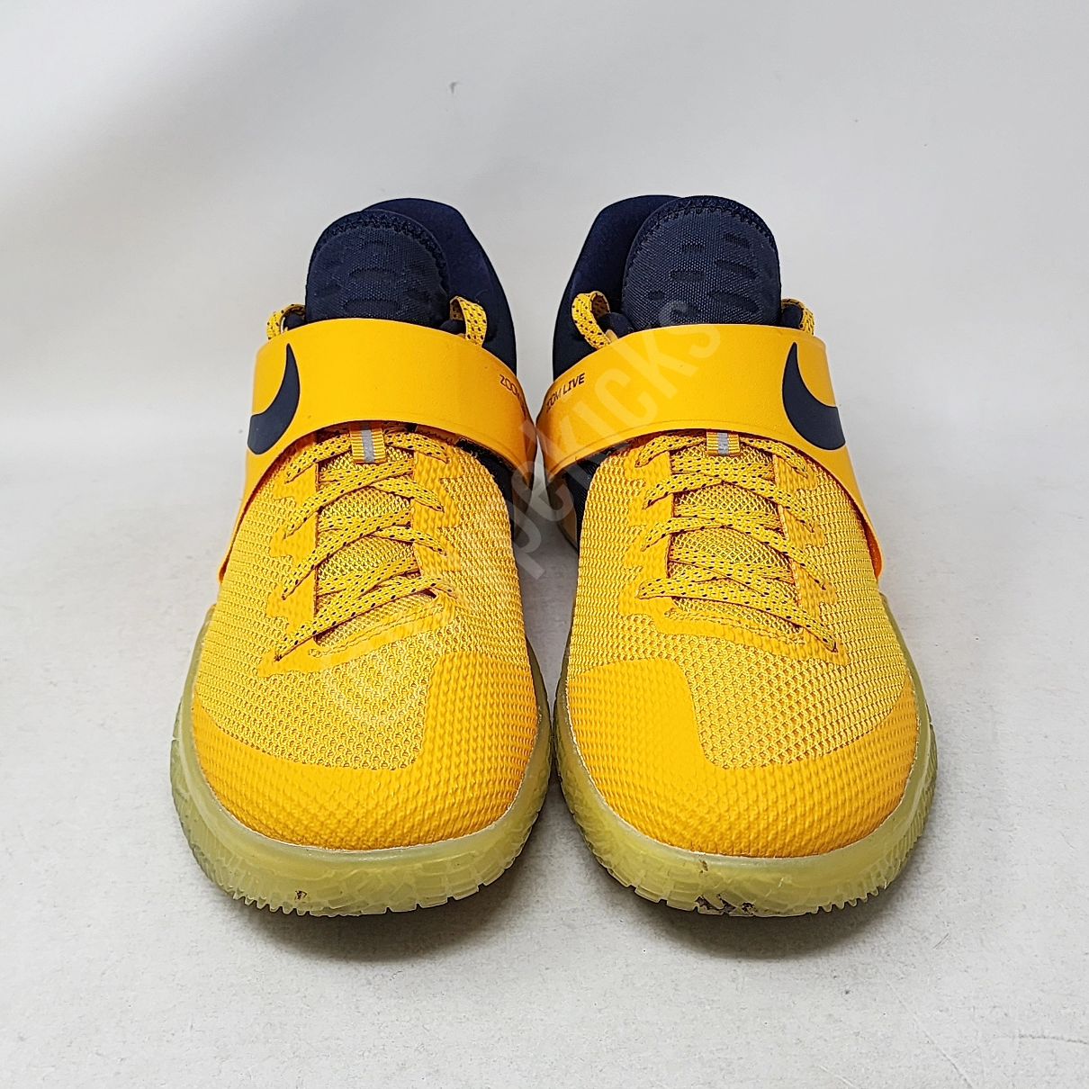 Nike Zoom Live - Aaron Brooks Indiana Pacers PE