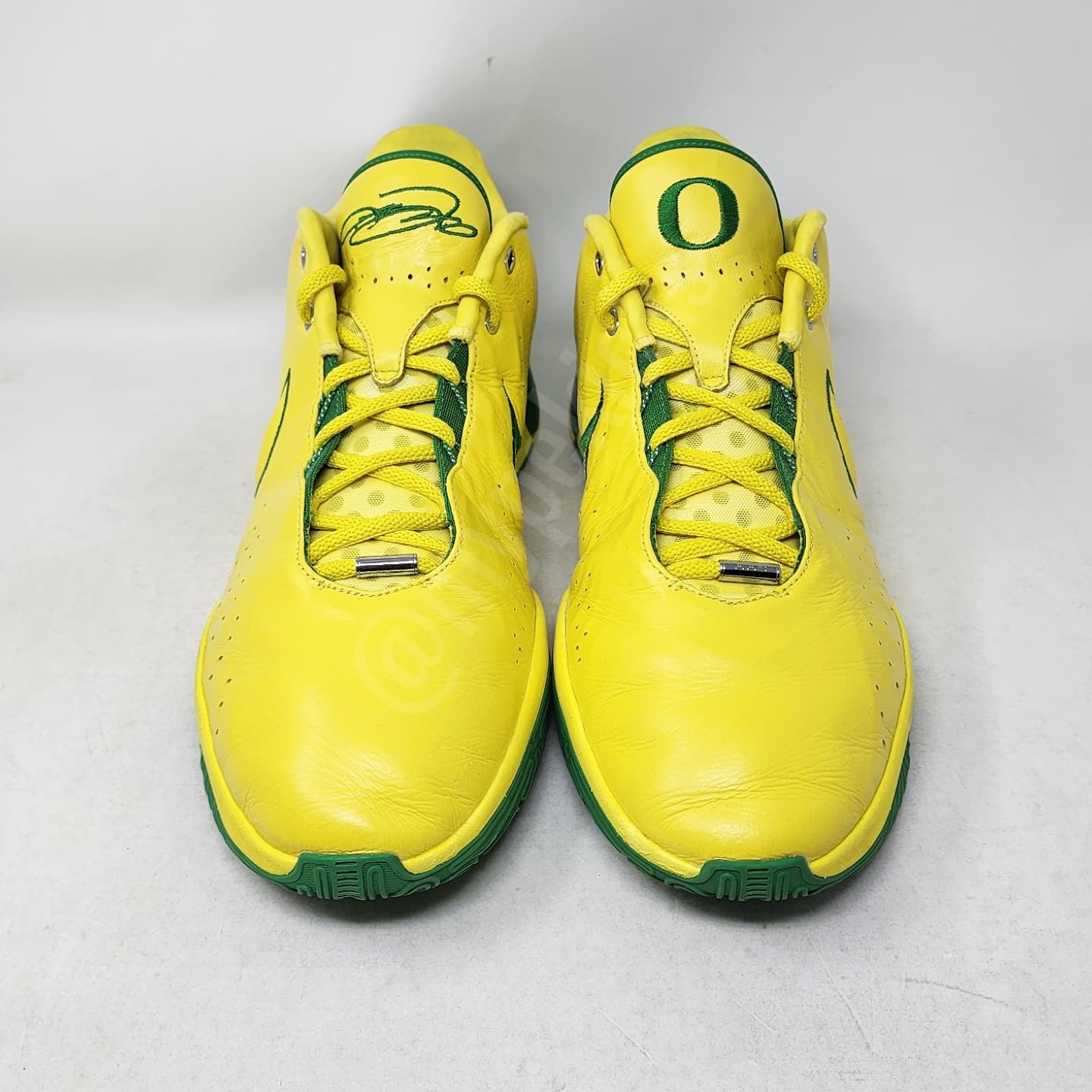 Nike LeBron 21 - Oregon Ducks PE