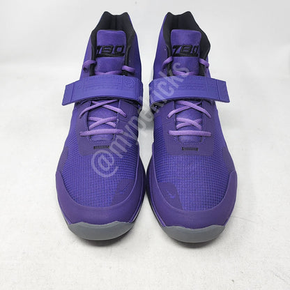 Nike Air Force Max - Zach Randolph Sacramento Kings PE