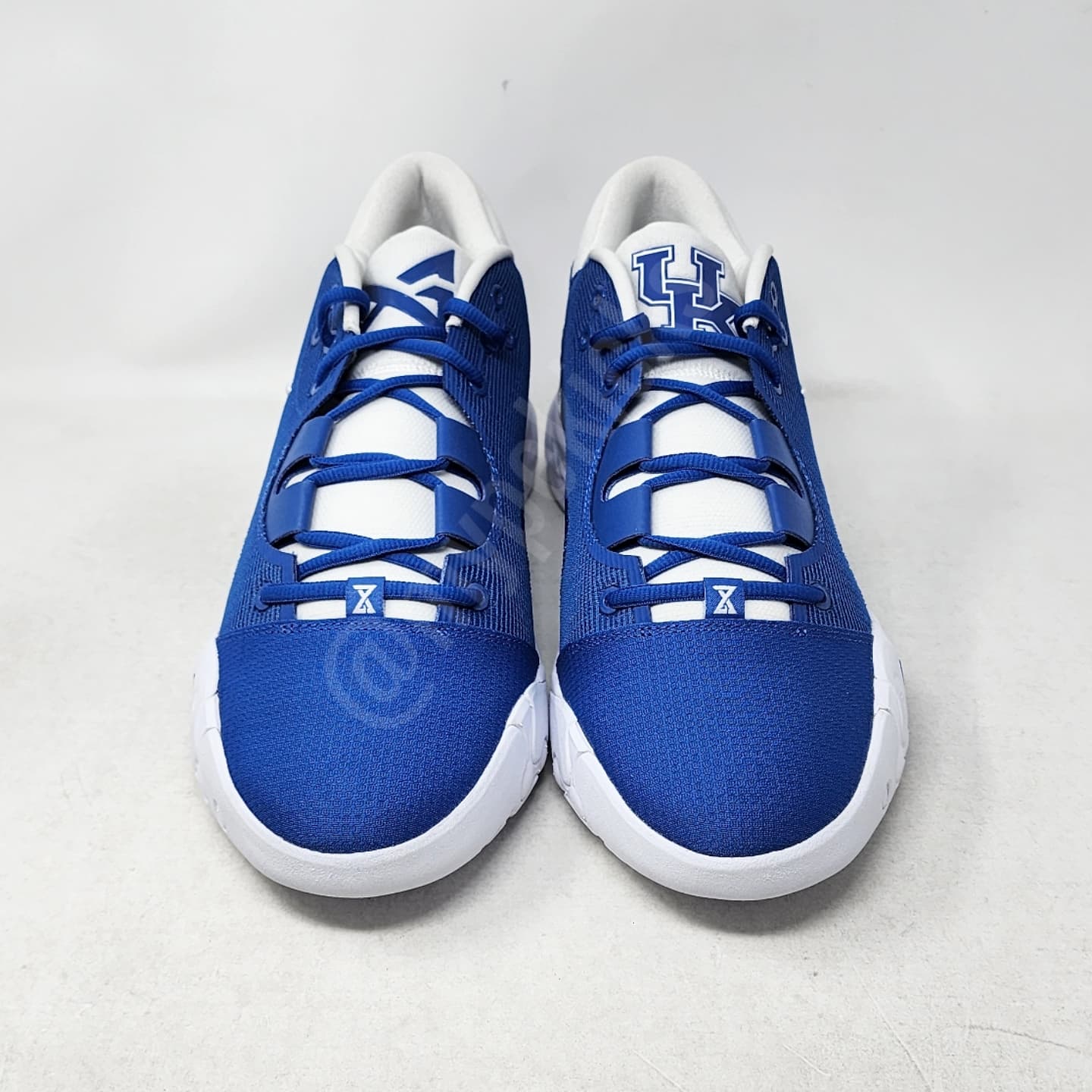 Nike PG 6 - Kentucky Wildcats PE