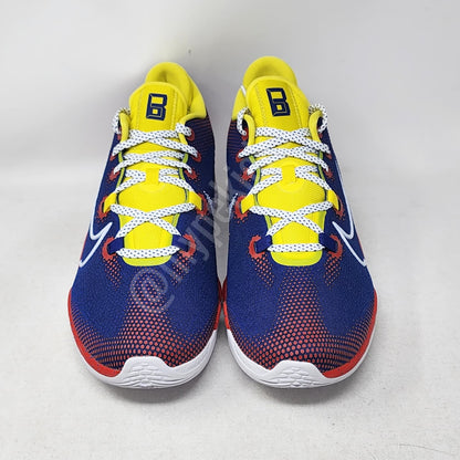 Nike Air Zoom BB NXT - Bradley Beal Washington Wizards PE