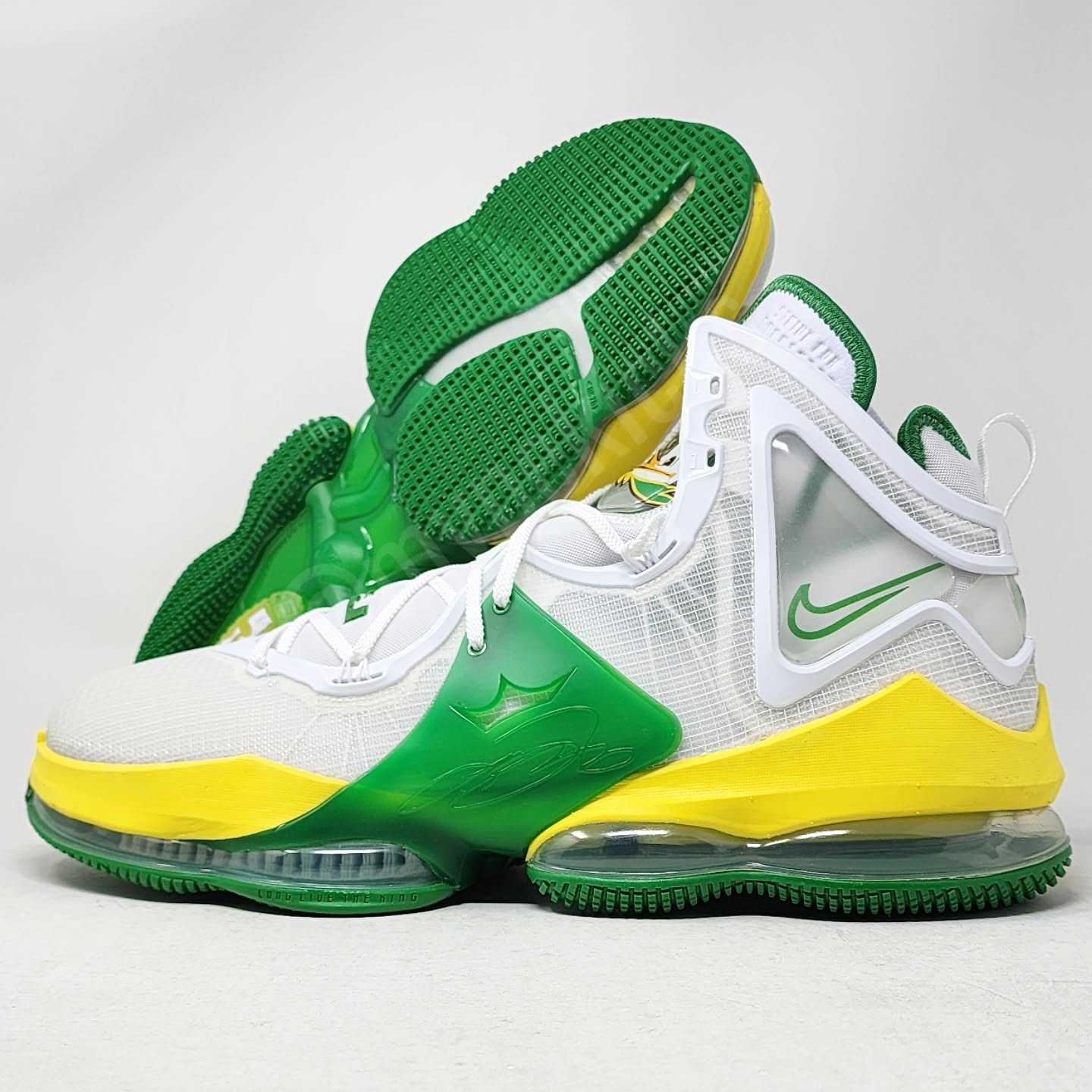Nike LeBron 19 - Oregon Ducks PE