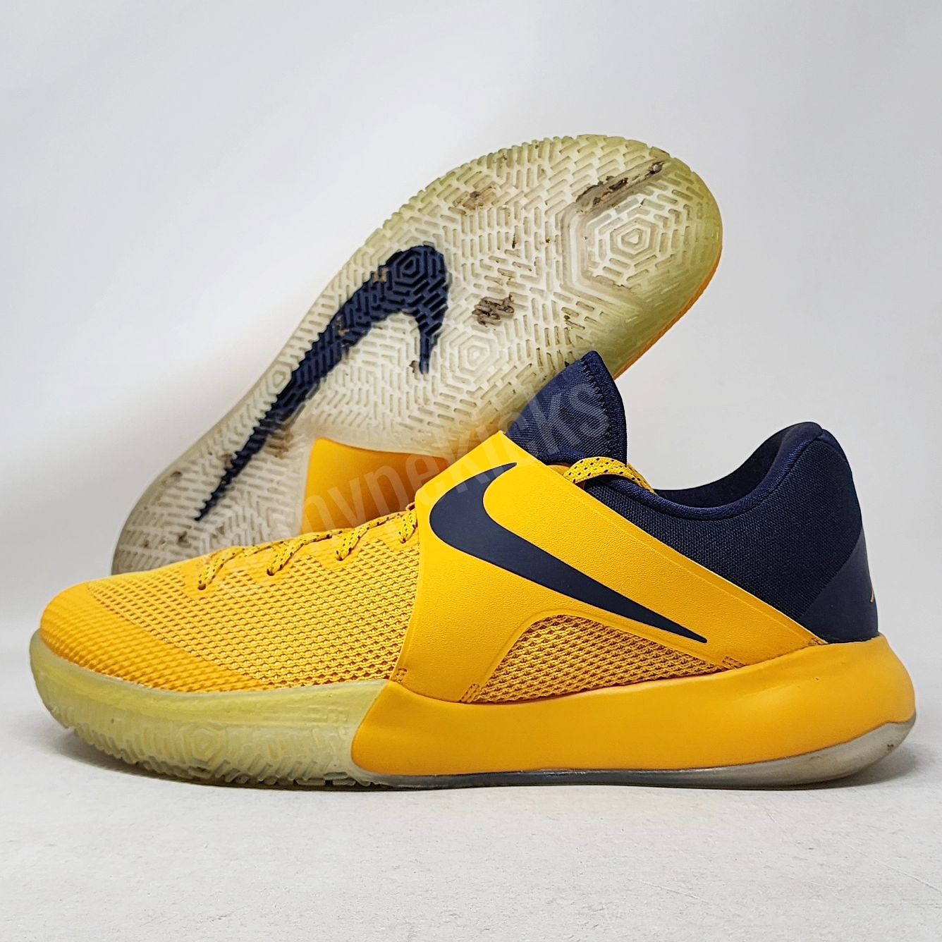 Nike Zoom Live - Aaron Brooks Indiana Pacers PE