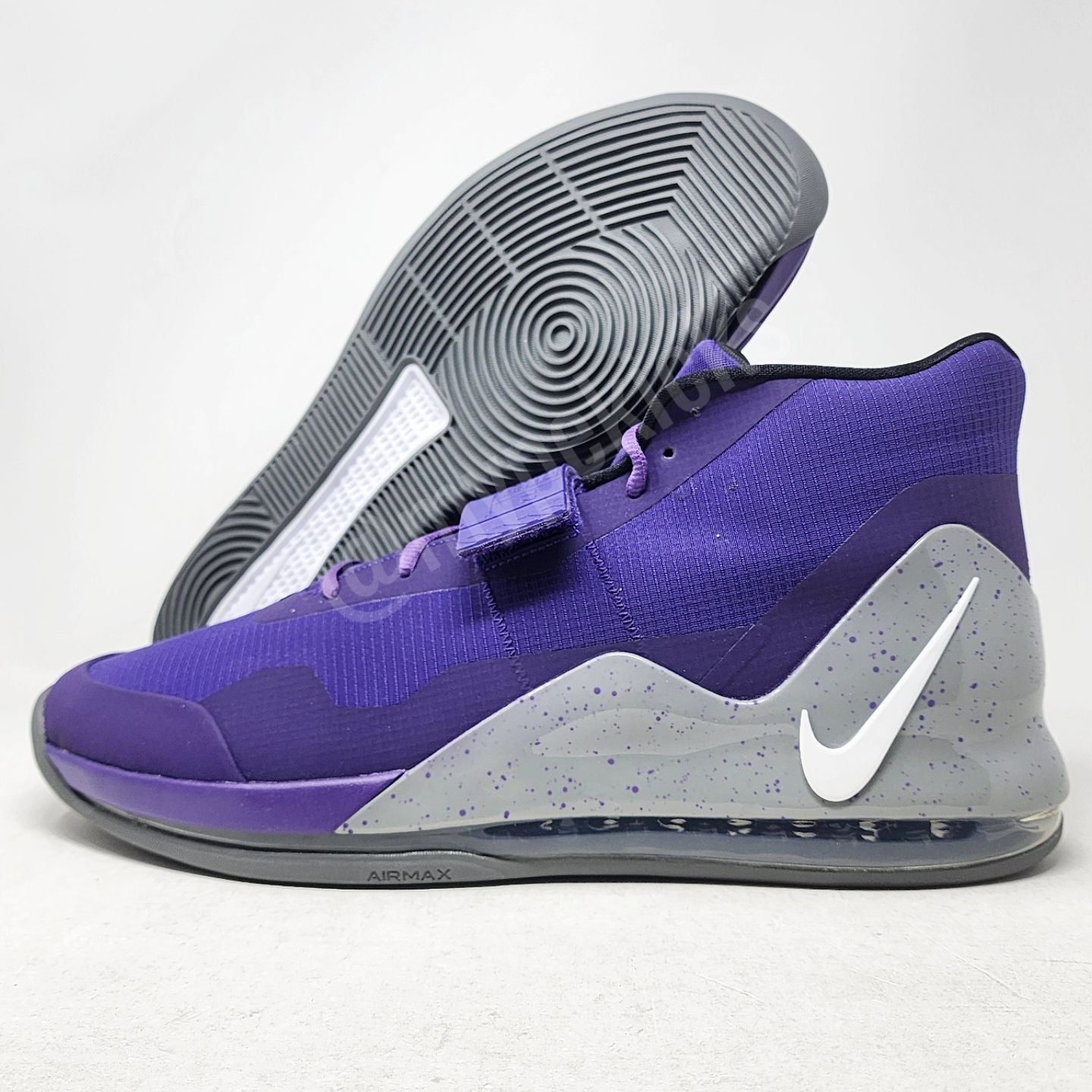 Nike Air Force Max - Zach Randolph Sacramento Kings PE