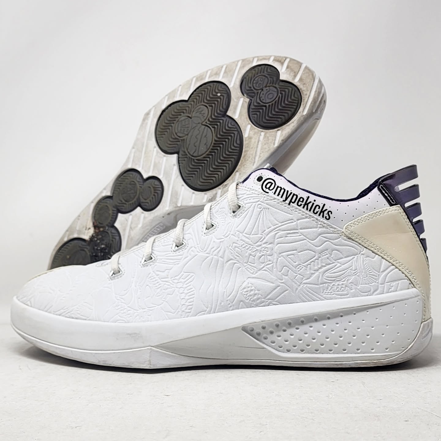 Air Jordan 20 3/4 Low - Mike Bibby Sacramento Kings PE