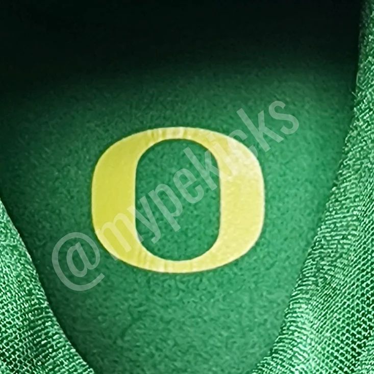 Nike LeBron 16 - Oregon Ducks PE