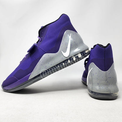 Nike Air Force Max - Zach Randolph Sacramento Kings PE