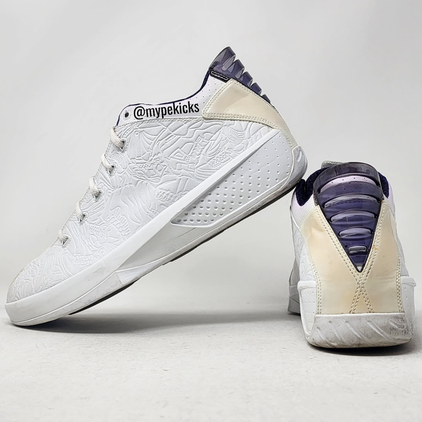 Air Jordan 20 3/4 Low - Mike Bibby Sacramento Kings PE