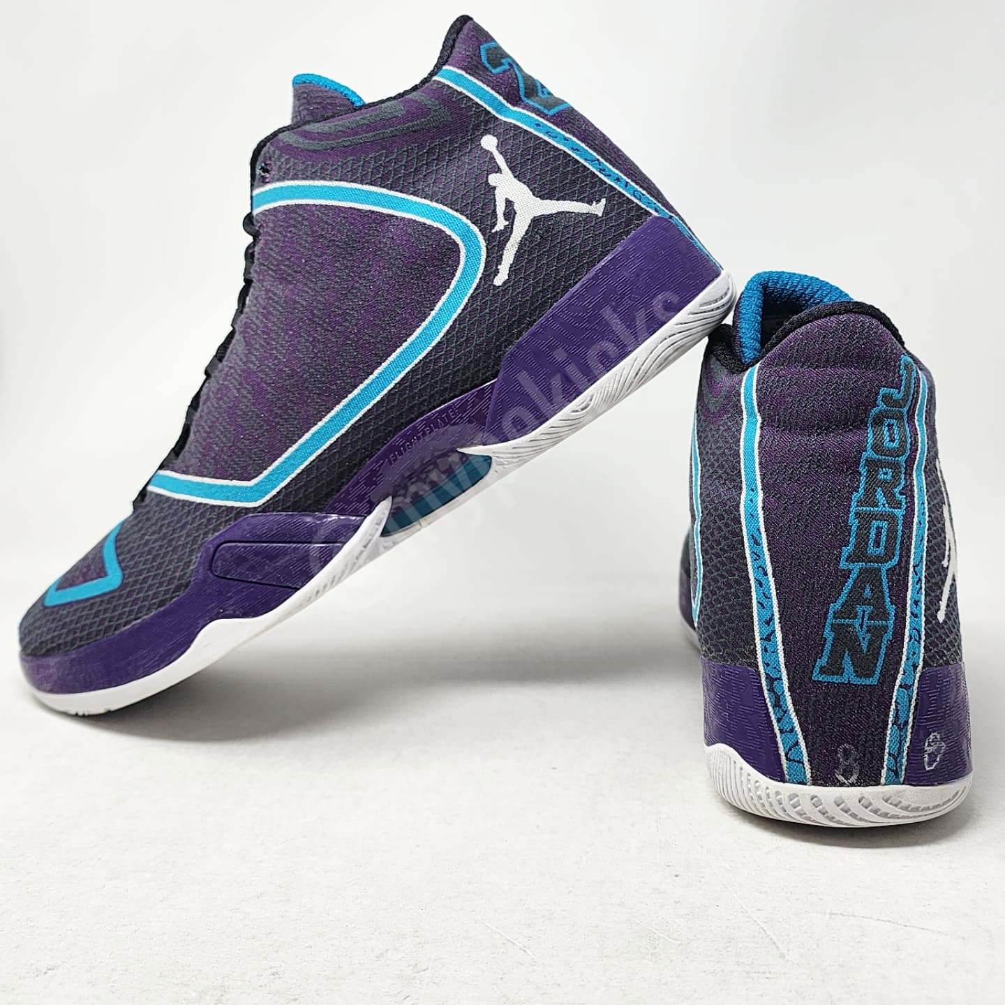 Air Jordan 29 Bismack Biyombo Charlotte Hornets PE