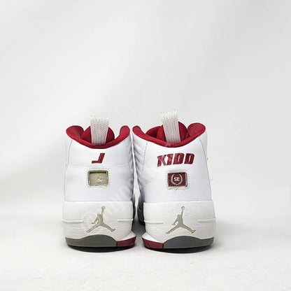 Air Jordan 19 SE - Jason Kidd New Jersey Nets PE