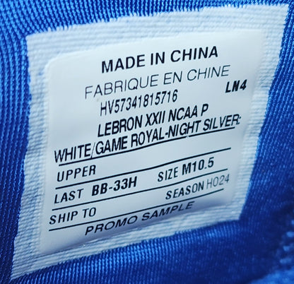 Nike LeBron 22 - Kentucky Wildcats PE