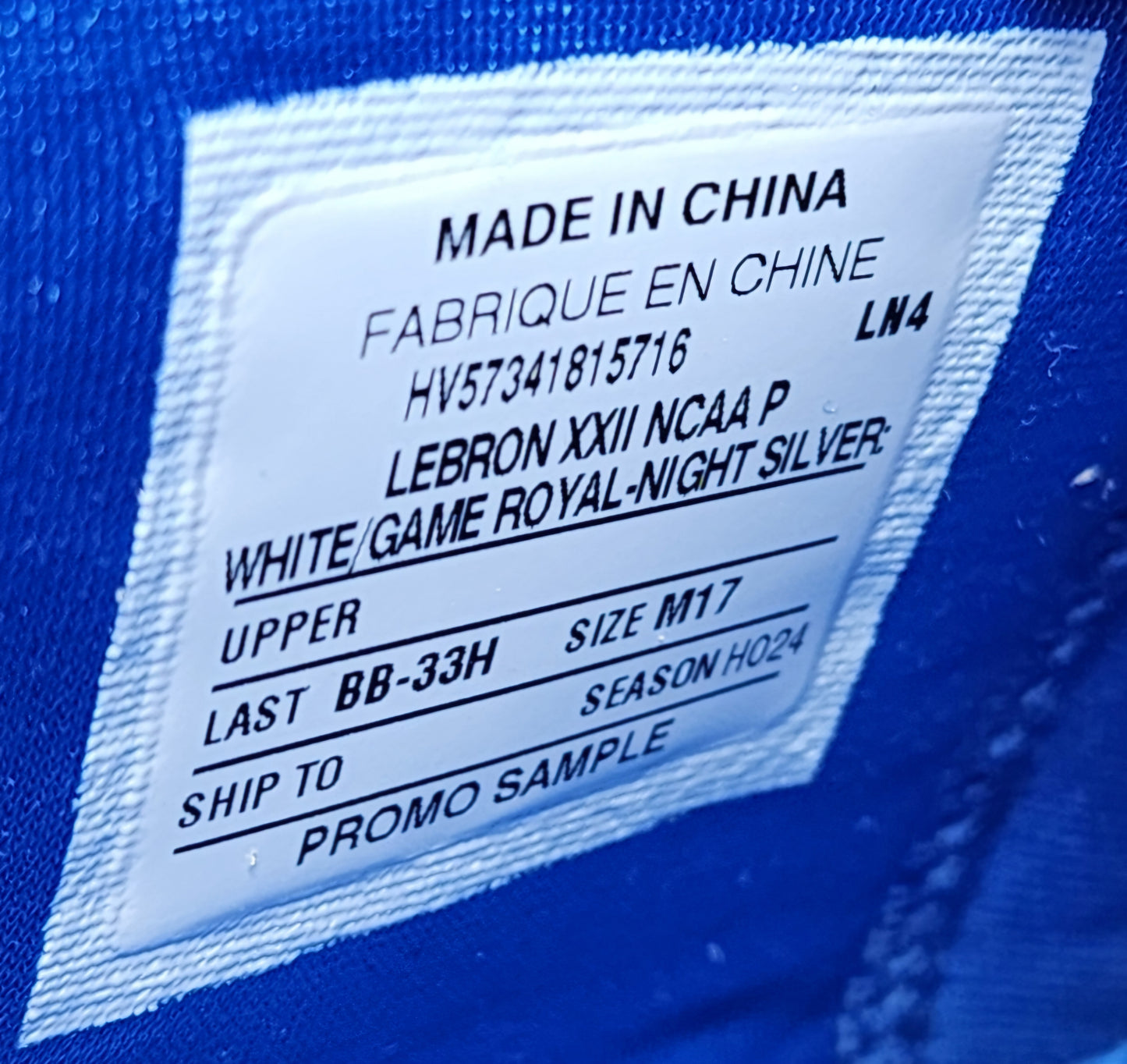 Nike LeBron 22 - Kentucky Wildcats PE