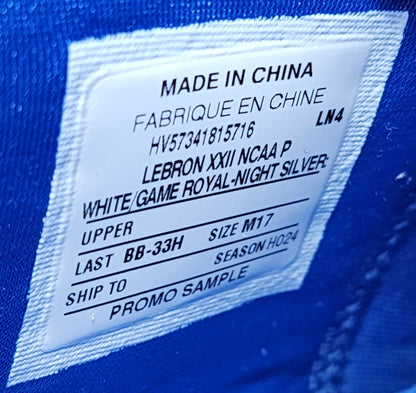 Nike LeBron 22 - Kentucky Wildcats PE