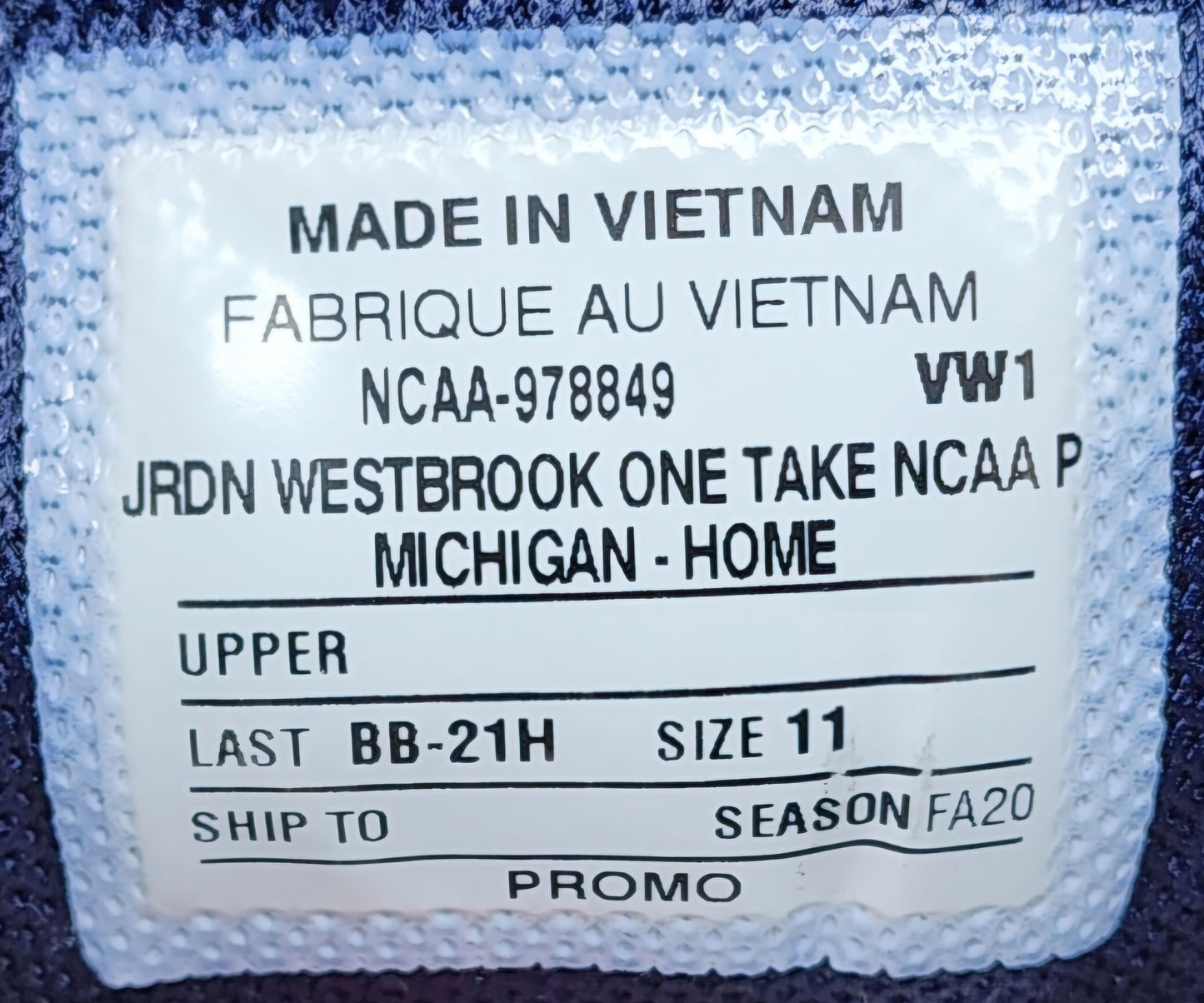 Jordan Westbrook One Take - Michigan Wolverines PE