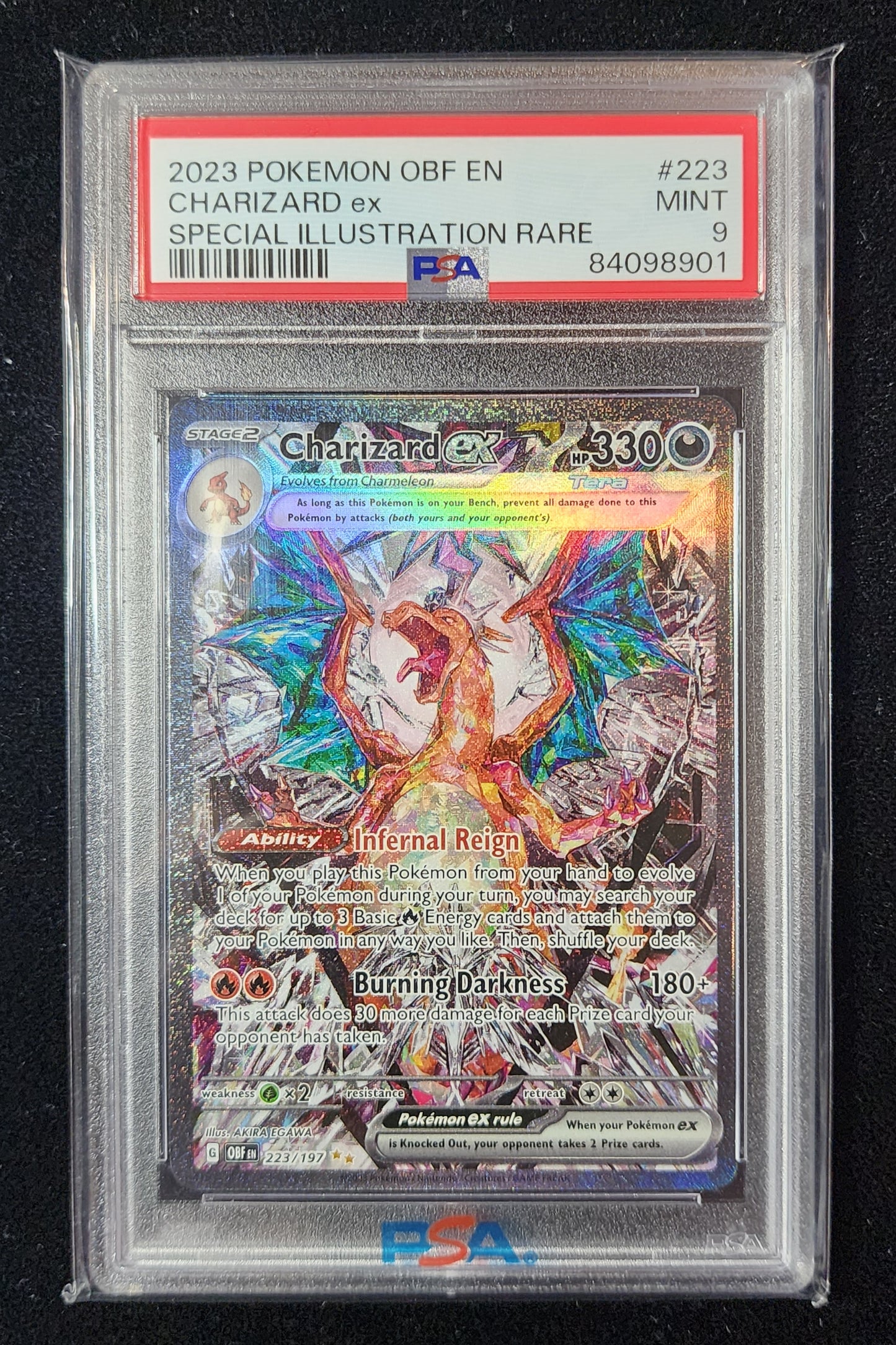 Charizard ex #223 (~$120)