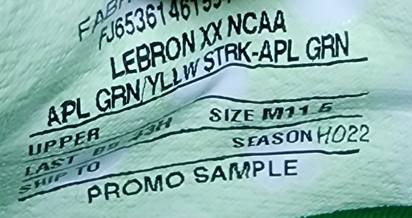 Nike LeBron 20 - Oregon Ducks PE
