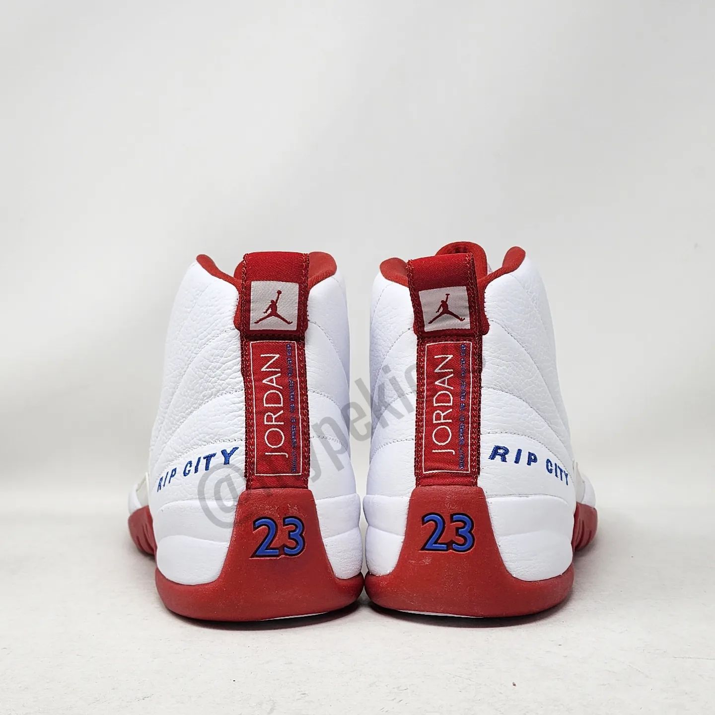 Air Jordan 12 Retro - Richard Hamilton Detroit Pistons PE