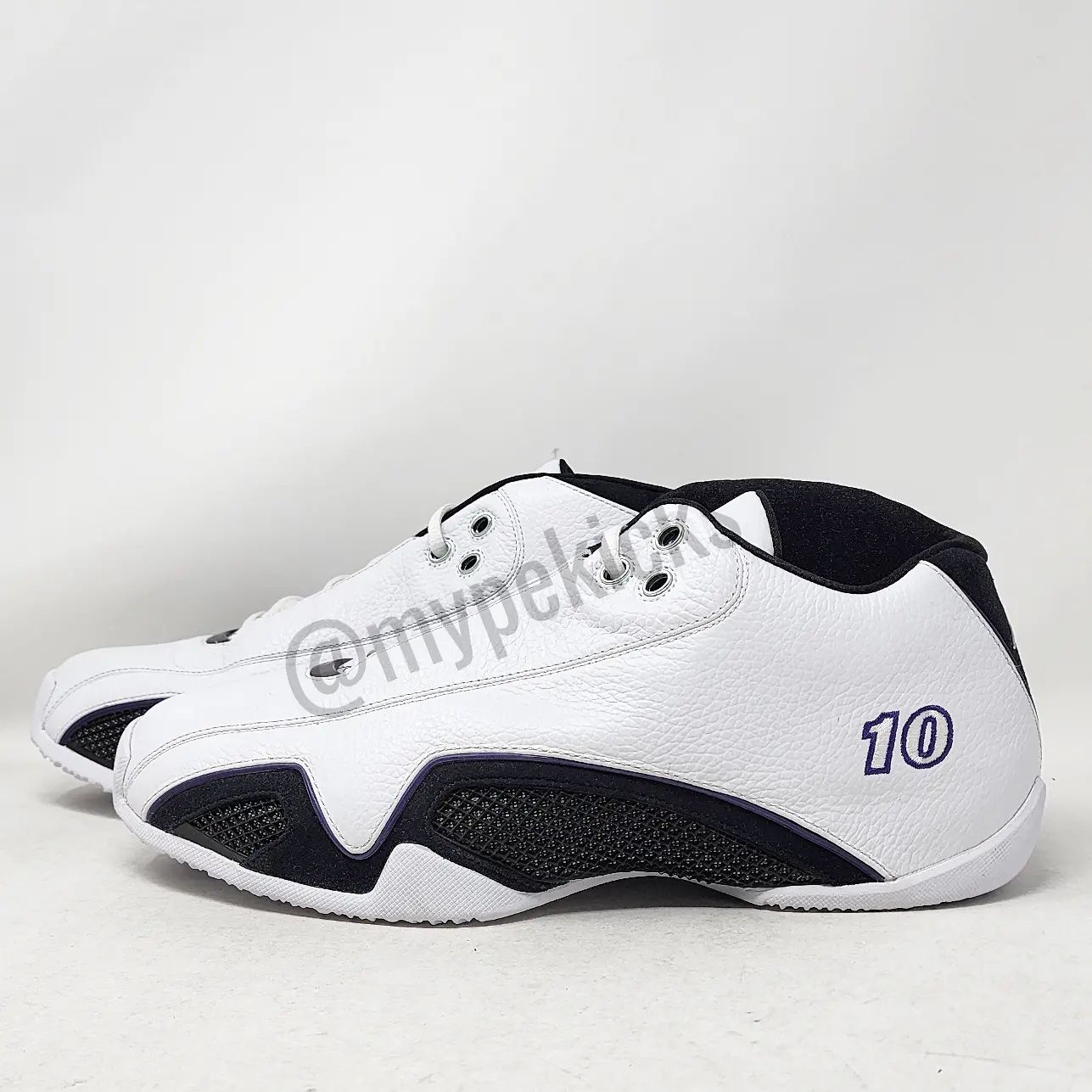 Air Jordan 21 Low - Mike Bibby Sacramento Kings PE