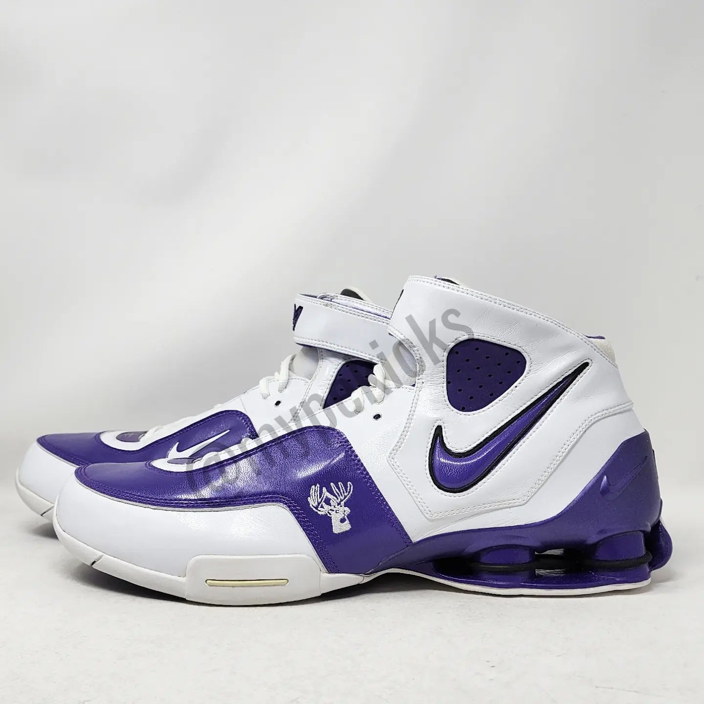 Nike Shox Elite TB Brad Miller Sacramento Kings PE mypekicks