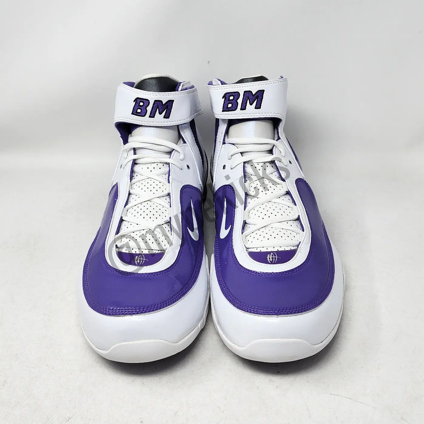 Nike Shox Elite TB Brad Miller Sacramento Kings PE